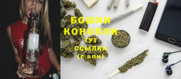 мет Новозыбков