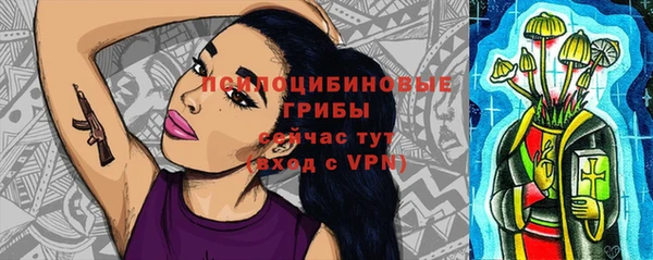 МДПВ Новокубанск