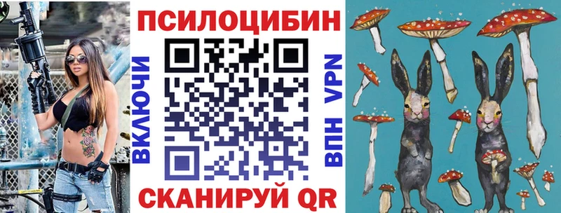 дарнет шоп  Фурманов  Псилоцибиновые грибы Psilocybine cubensis 
