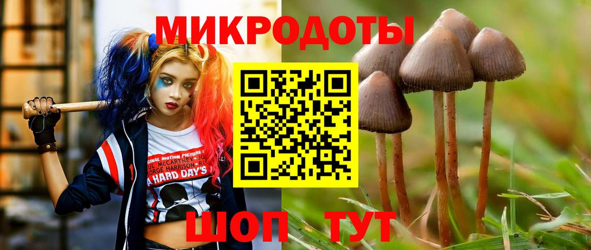 наркота  Вход с VPN  Фурманов  Галлюциногенные грибы Cubensis 